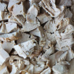 Vegan seitan chicken