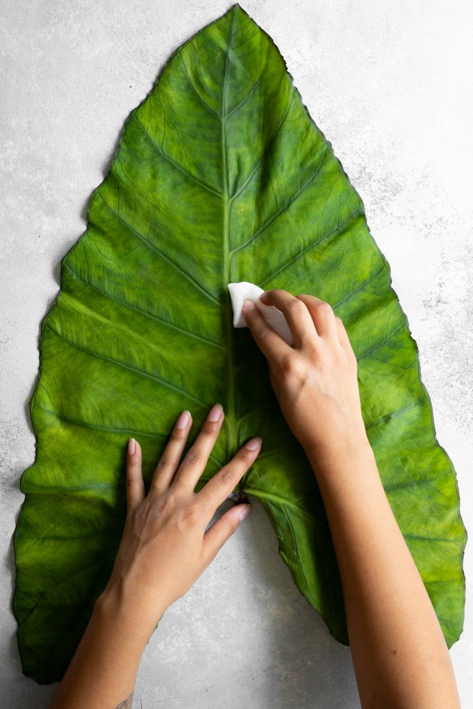 How to make Patra - clean the leaves