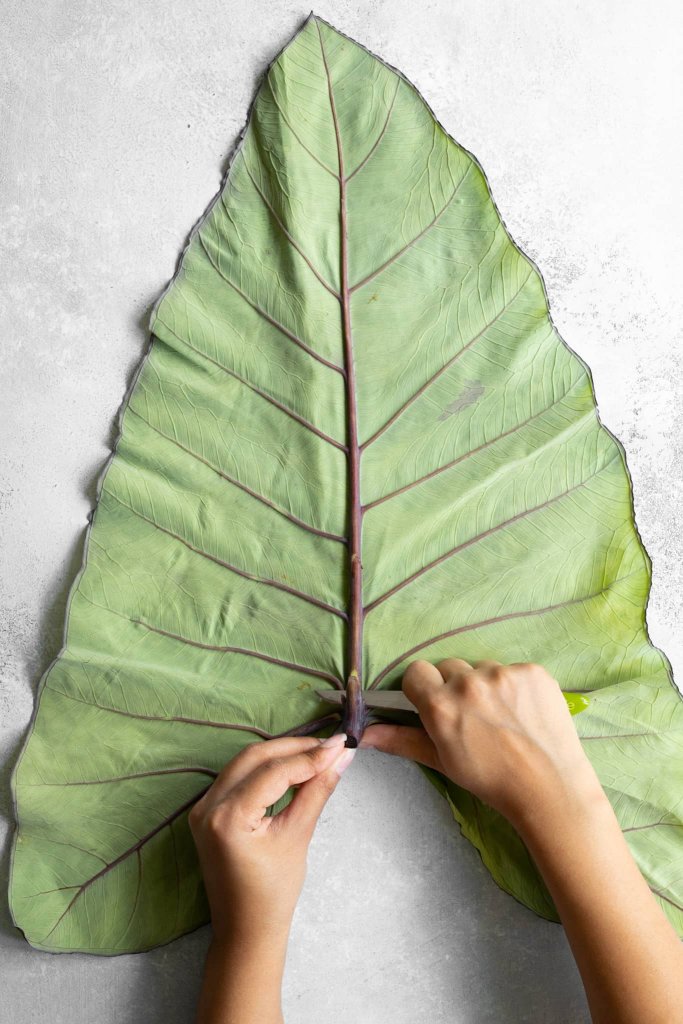 How to clean and prepare colocasia leaves