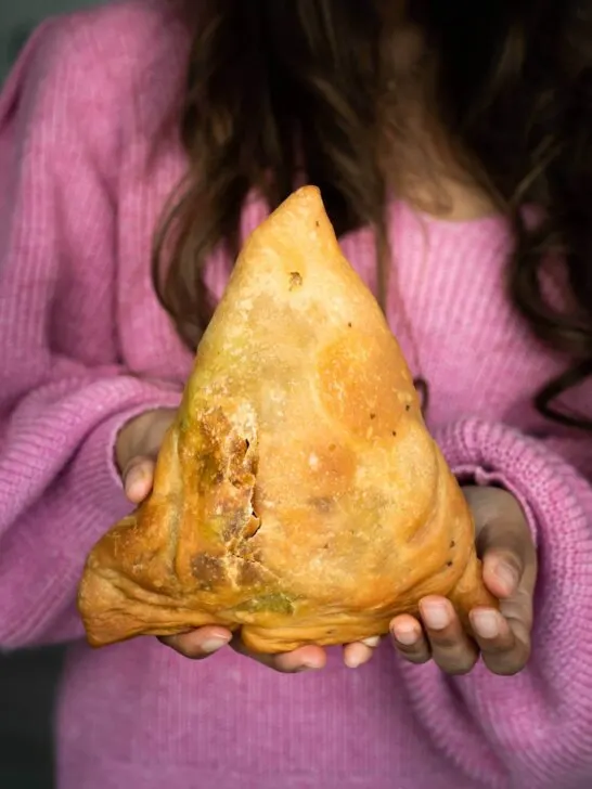 Giant Sharing Samosa