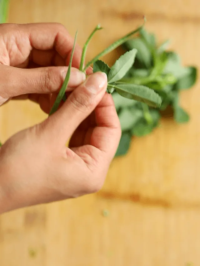 How to prepare methi